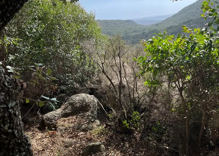 Maison De Vacances Dans Village Authentique Corse