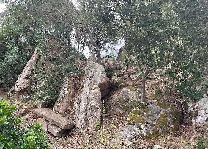 Maison De Vacances Dans Village Authentique Corse