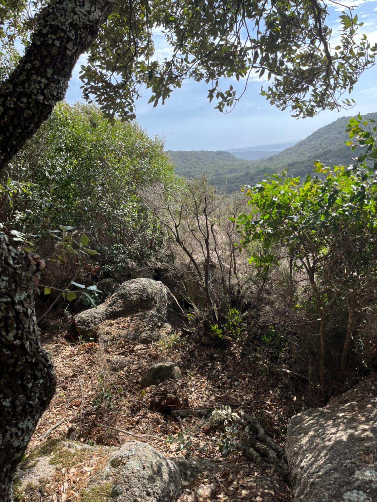 Holiday home Maison De Dans Village Authentique Corse