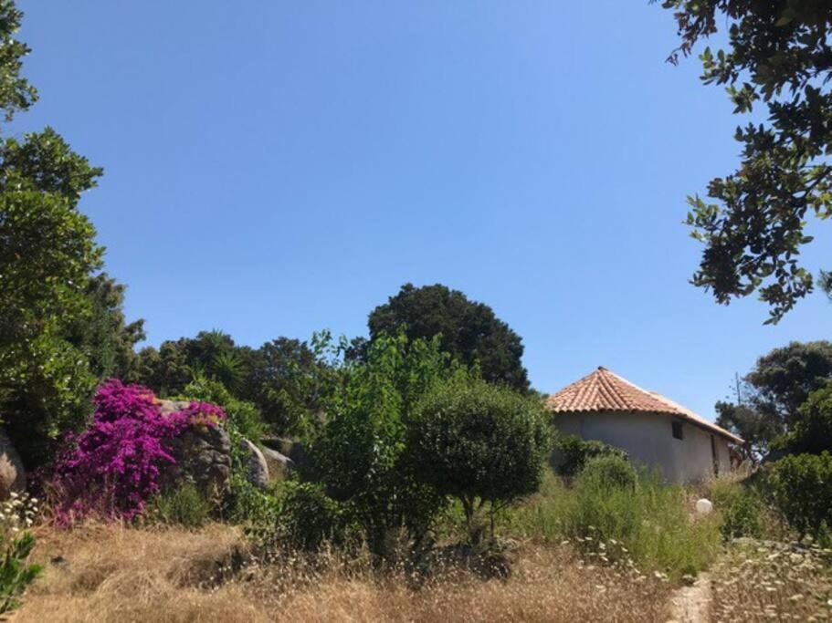 Maison De Dans Village Authentique Corse Bonifacio (Corsica)