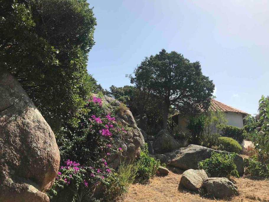 Maison De Dans Village Authentique Corse *
