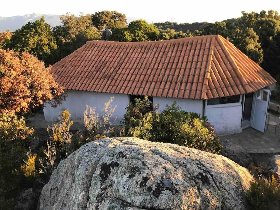 Holiday home Maison De Dans Village Authentique Corse